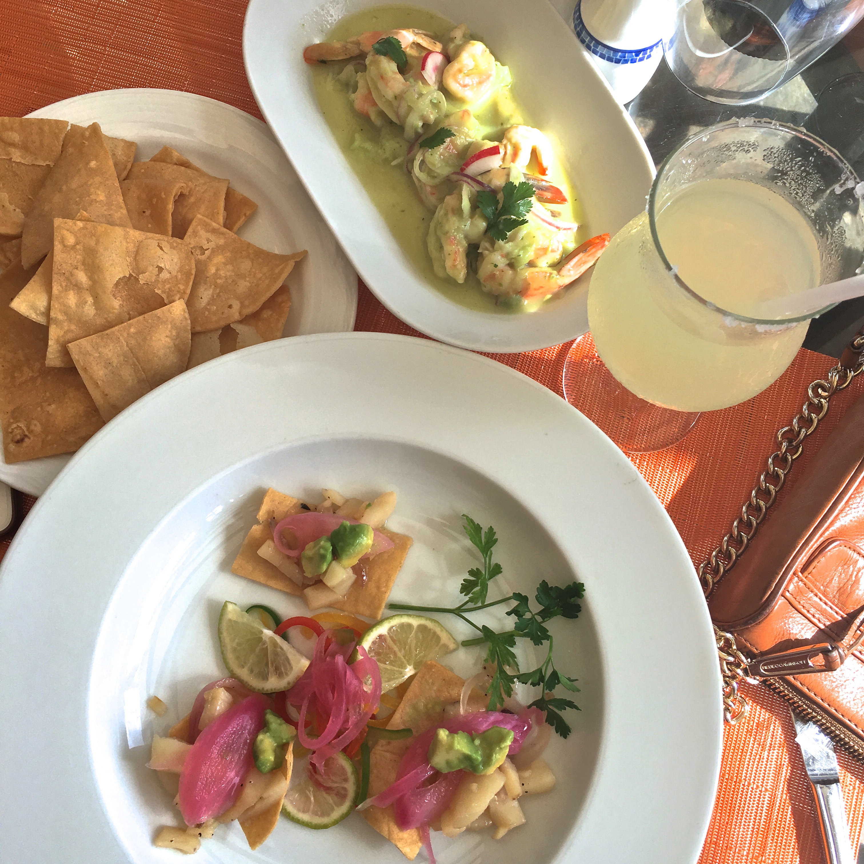 the royal playa del carmen ceviche