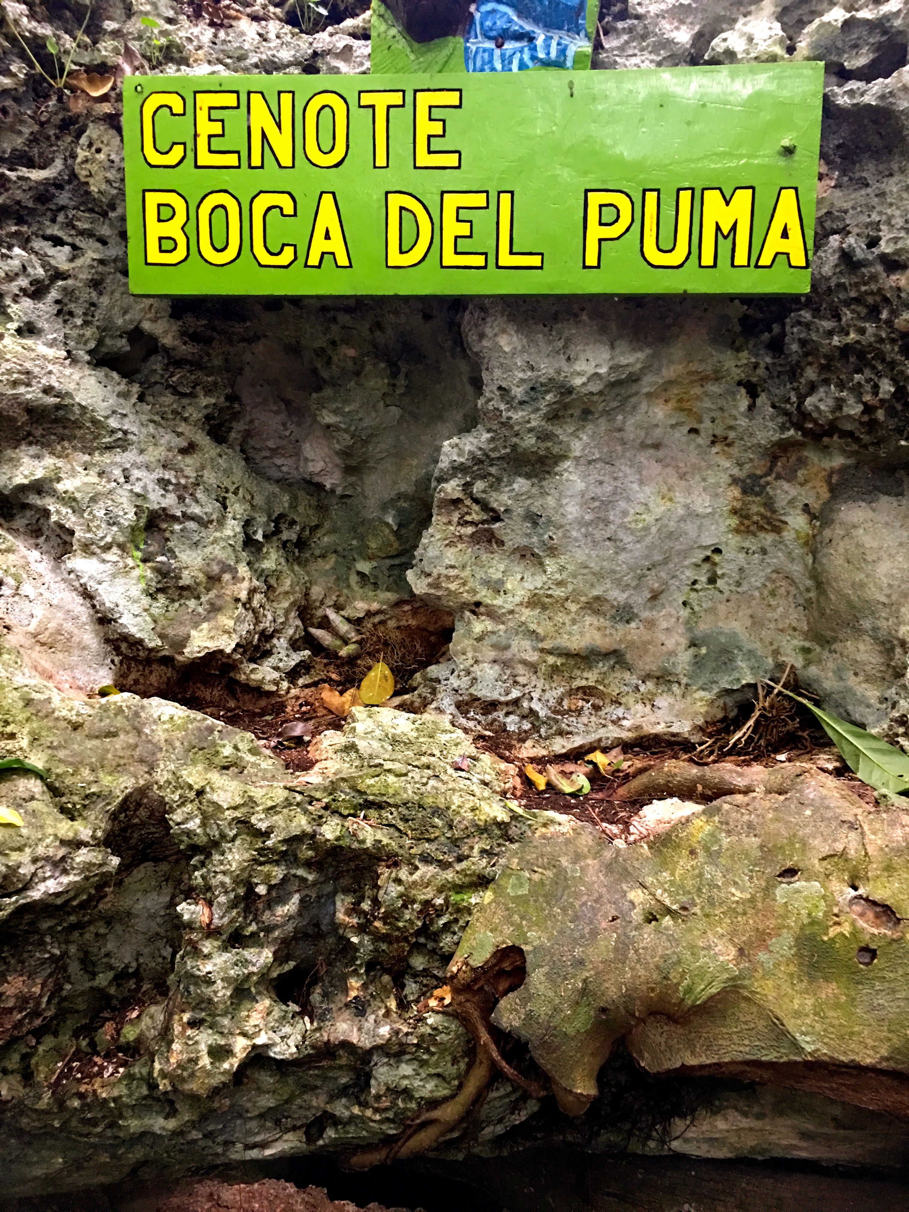 boca del puma